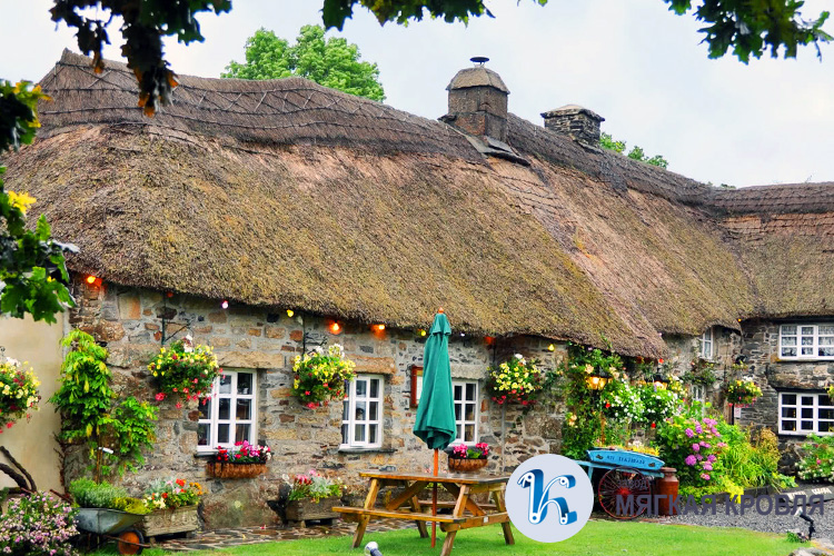 Кровля из травы